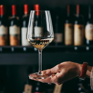 DineSocial Pro